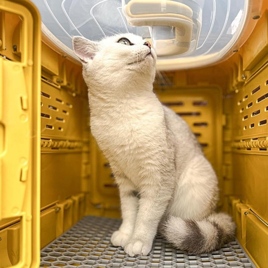 猫 キャリーケース 折りたたみ ケース ペット クレート 猫用 犬用