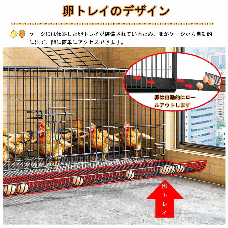 鶏小屋鶏舎ニワトリ 屋外大型 飼育小屋鶏小屋 鶏用ケージ キット 鶏小屋鶏舎ニワトリ 屋外大型 飼育小屋鶏小屋 鶏用ケージ キット