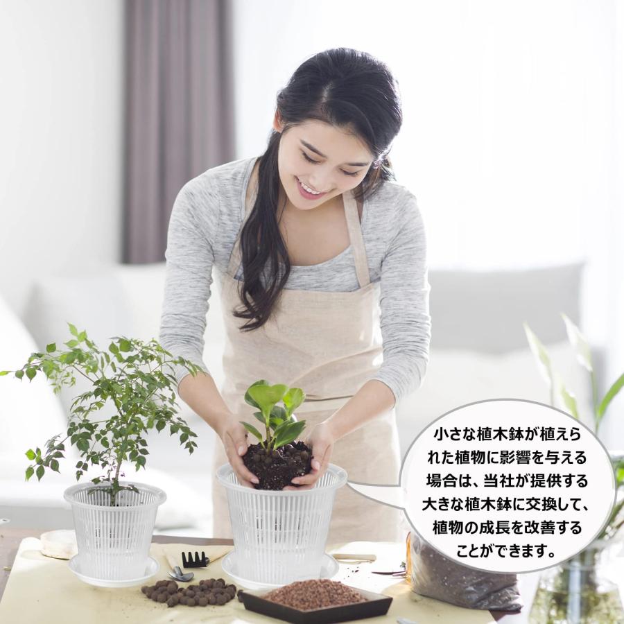 10個入り プランターポット プラスチック製 植木鉢 胡蝶蘭鉢