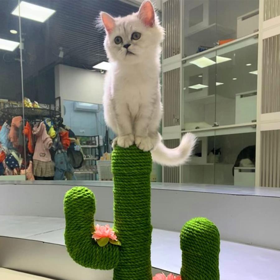 猫 爪とぎ 爪研ぎ 猫用爪とぎポール サボテン ねこタワー ポール立 て