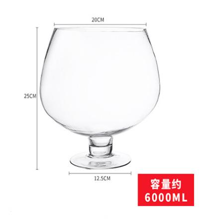 ワイングラス ワインゴブレット ガラス 2500ml 6000ml 巨大ワイン