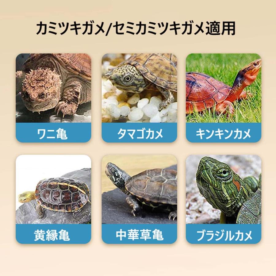 カメ生息地 亀の水槽 カメ用水槽 亀ケージ カメボックス リクガメ 