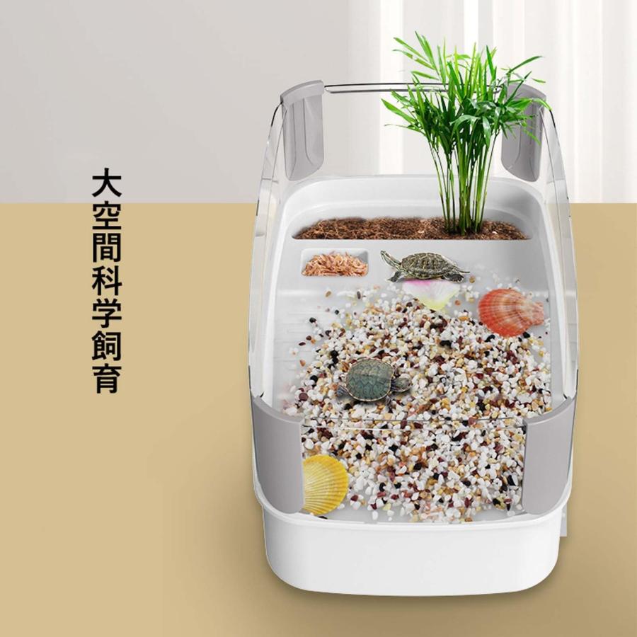 亀 水槽 透明 リクガメ ケージ　高精細ガラス ガラス透明 360° 水槽セット Amazon | 亀 水槽 大きい 透明 リクガメ ケージ カメの生息地