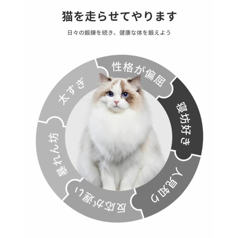 キャットホイール 猫 ランニングホイール キャットウォーク キャット