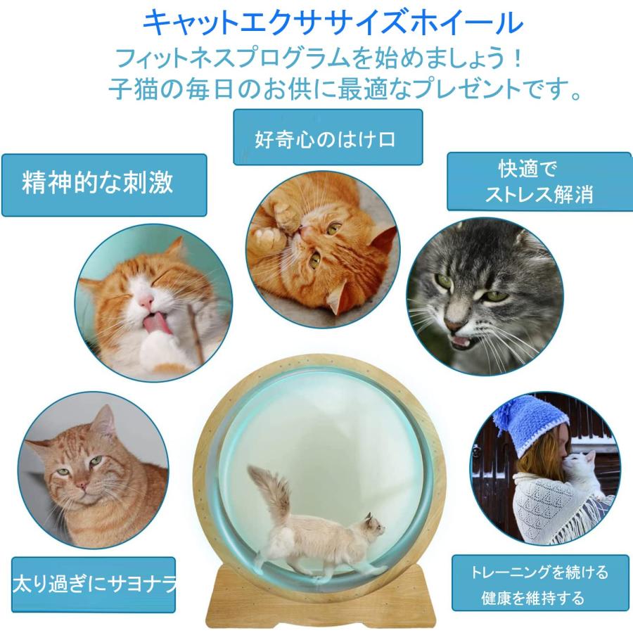 キャットホイール 猫 ランニングホイール キャットウォーク キャット