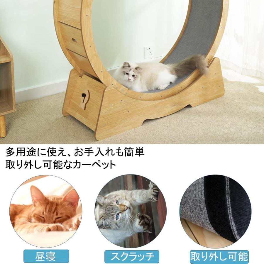 江東区亀戸引き取り限定 キャットホイール ローラーキャットランニング