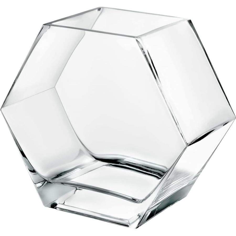 金魚鉢 水槽 容量約4.2リットル 小シンク 苔テラリウム 六角形ボディ