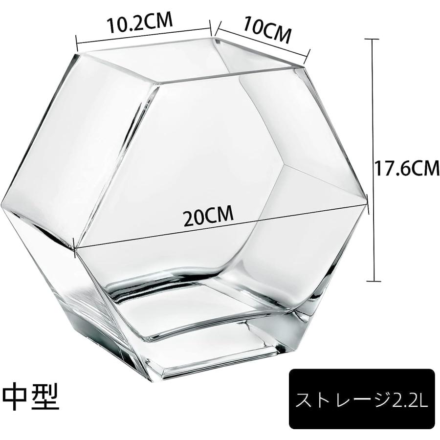 金魚鉢 水槽 容量約4.2リットル 小シンク 苔テラリウム 六角形ボディ