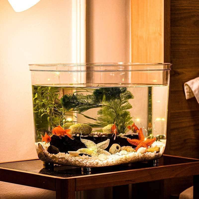 金魚鉢 水槽 飼育水槽 プラスチック テラリウム 透明アクリル 観葉植物 