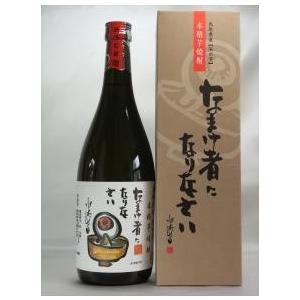 【稲田本店】本格芋焼酎　なまけ者になりなさい　720ml　25度｜kaioo-sake