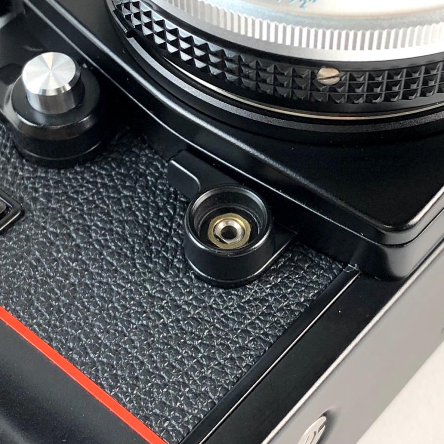 ニコン Nikon F3 HP＋Micro-NIKKOR-P Auto 55mm F3.5 Ai改 フィルム
