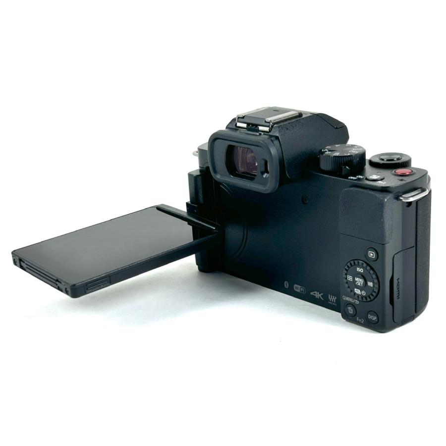 パナソニック LUMIX DC-G100V+MARUMIのPLレンズ付き