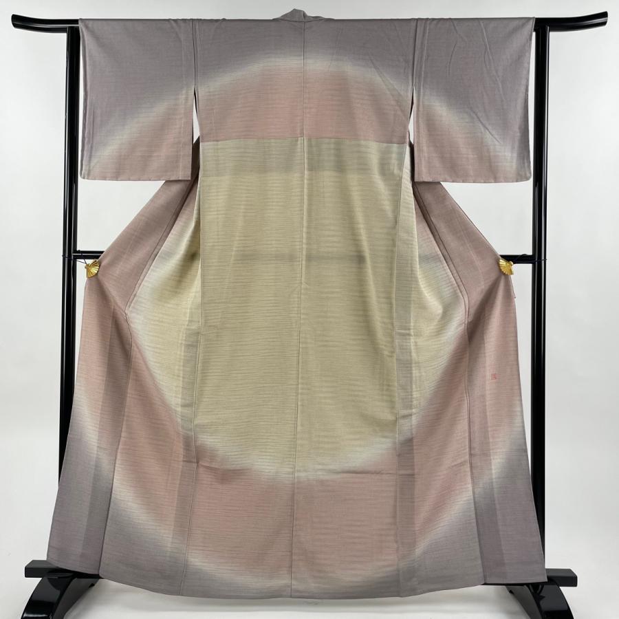 訪問着 身丈162.5cm 裄丈62.5cm S 単衣 やまだ織 雪の中のきれ お召地  