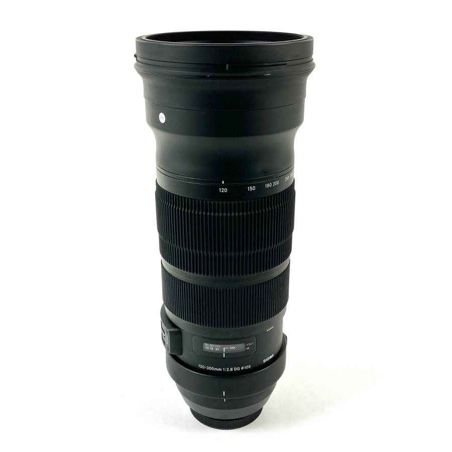 期間限定価格　SIGMA Sports 120-300 F2.8 超美品 シグマ SIGMA 120-300mm F2.8 DG OS HSM | Sports | メディアジョイカメラ