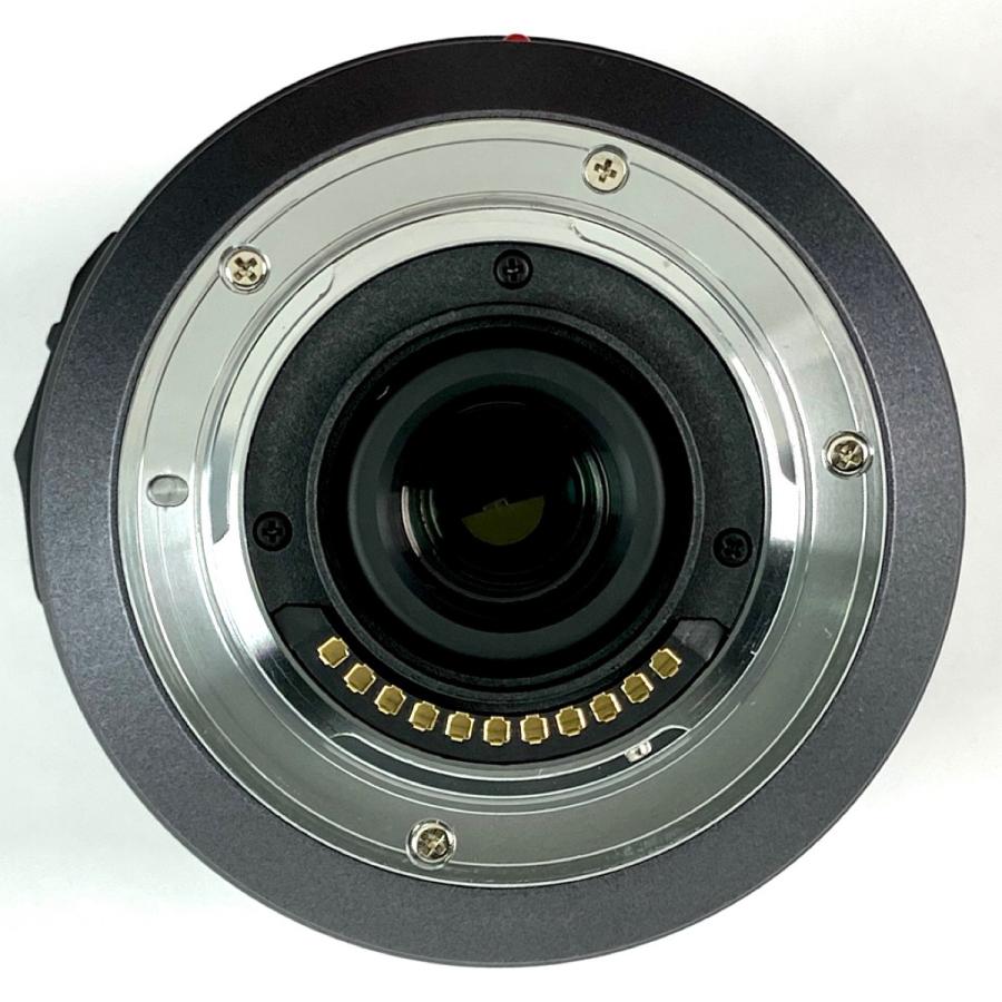 パナソニック Panasonic LUMIX G VARIO HD 14-140mm F4.0-5.8 ASPH