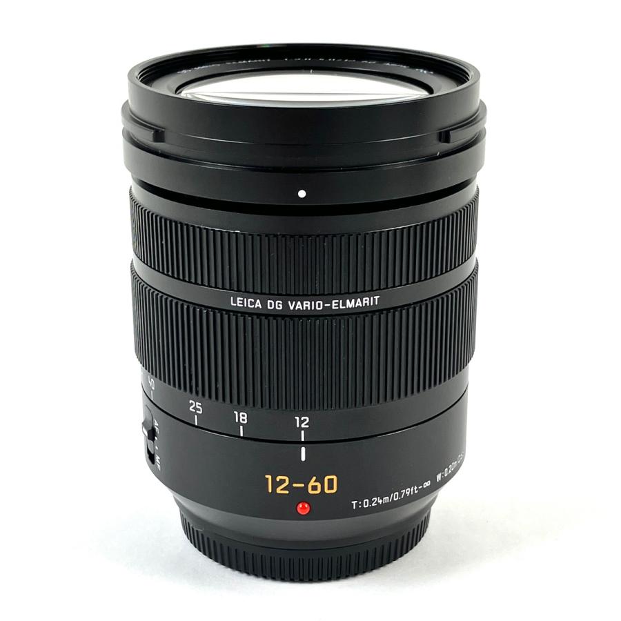 パナソニック Panasonic LEICA DG VARIO-ELMARIT 12-60mm F2.8-4.0