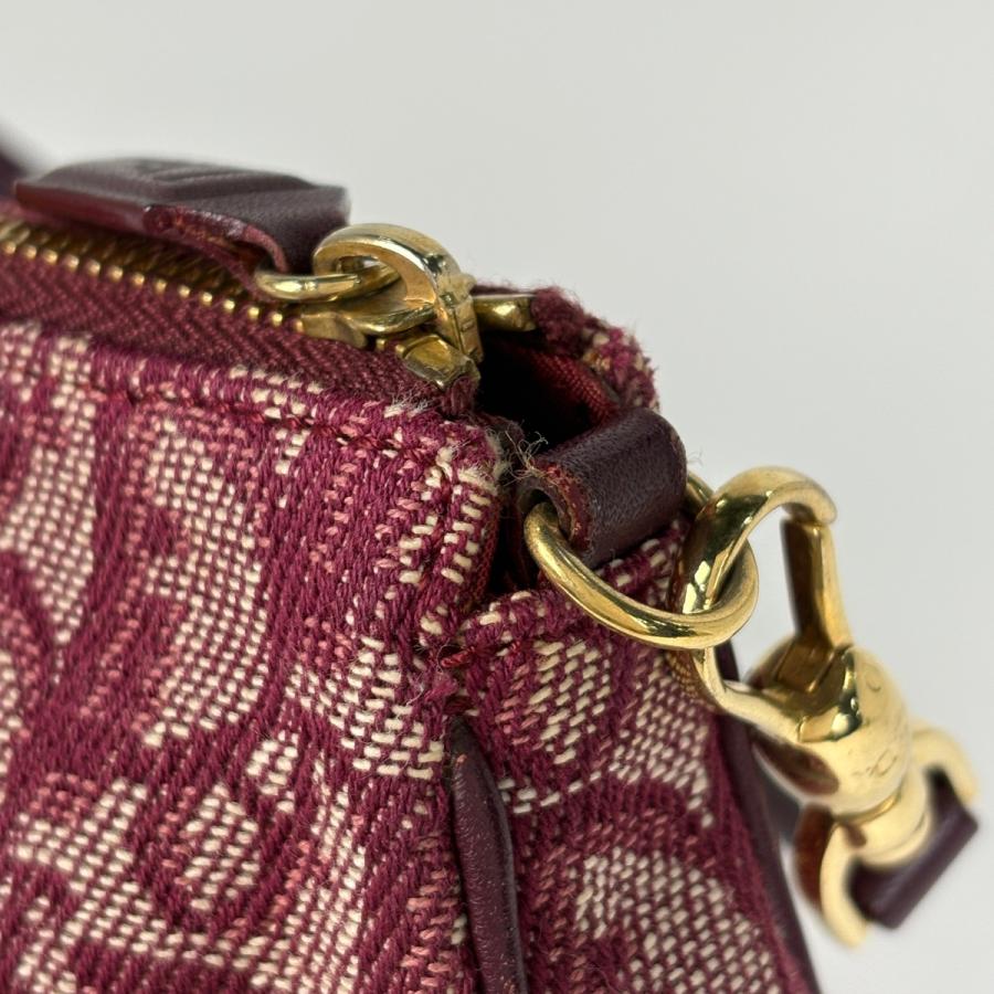 Christian Dior（クリスチャン・ディオール） トロッター柄 サドル