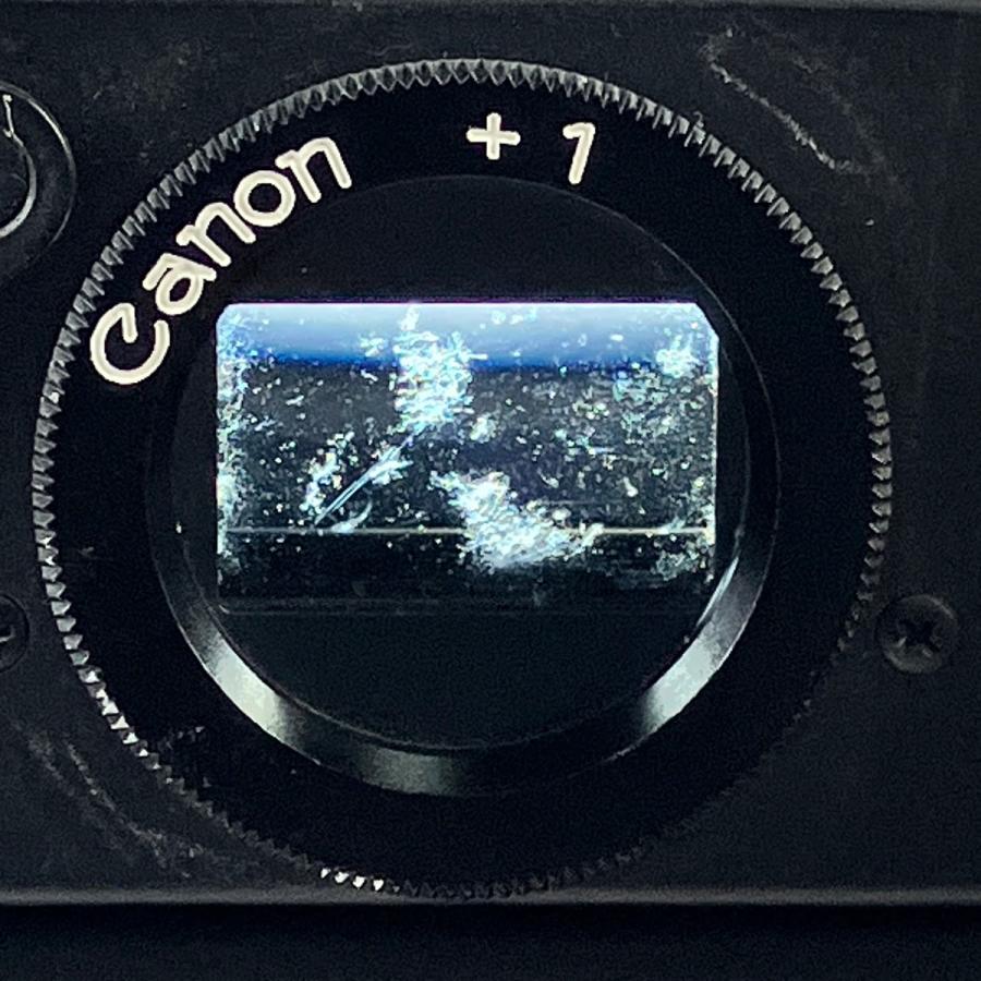 キヤノン Canon NEW F-1 ボディ フィルム マニュアルフォーカス 一眼