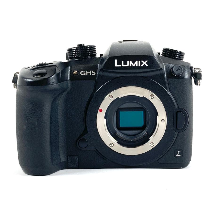 パナソニック Panasonic LUMIX DC-GH5 ボディ デジタル ミラーレス
