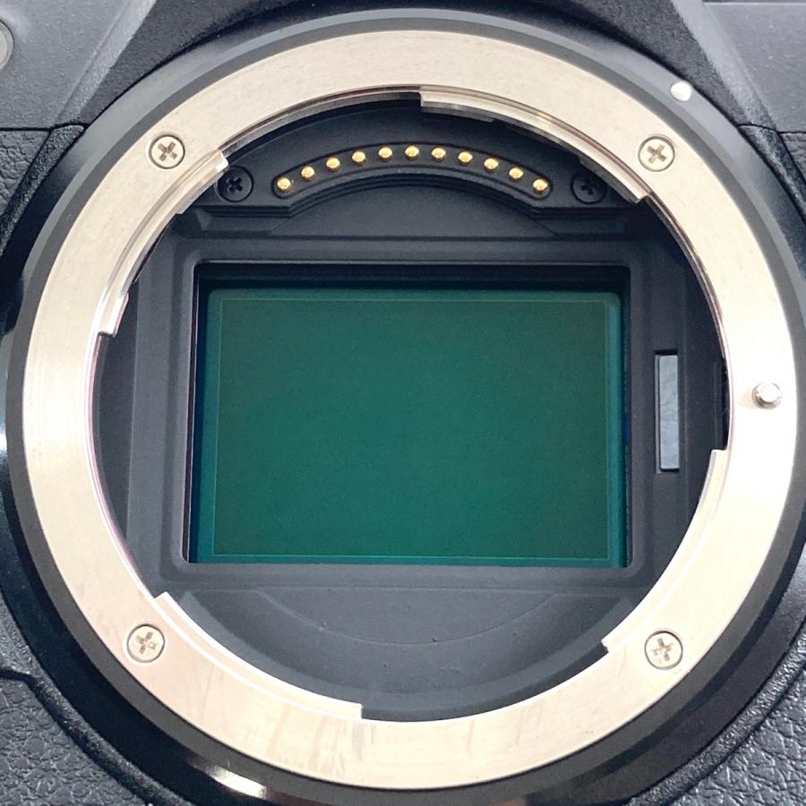 ニコン Nikon Z9 ボディ デジタル ミラーレス 一眼カメラ 中古