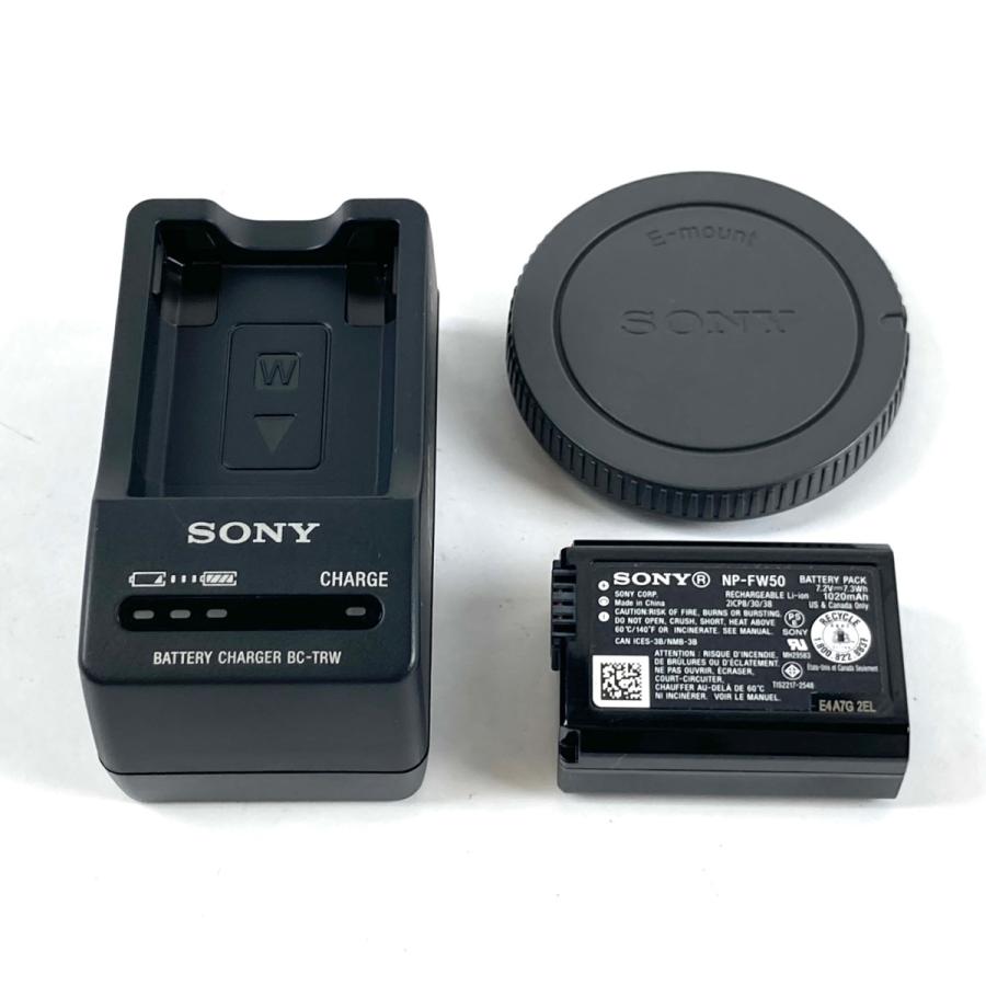 ソニー SONY α7S ボディ ILCE-7S 海外仕様 デジタル ミラーレス 一眼