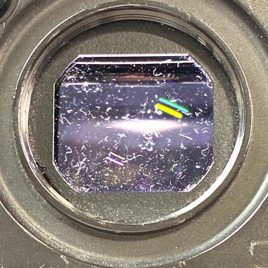 ニコン Nikon F5 ボディ フィルム オートフォーカス 一眼レフカメラ