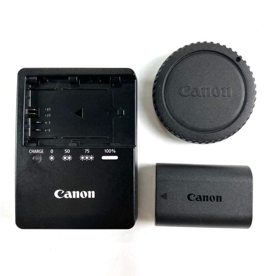 キヤノン Canon EOS 80D ボディ デジタル 一眼レフカメラ 中古