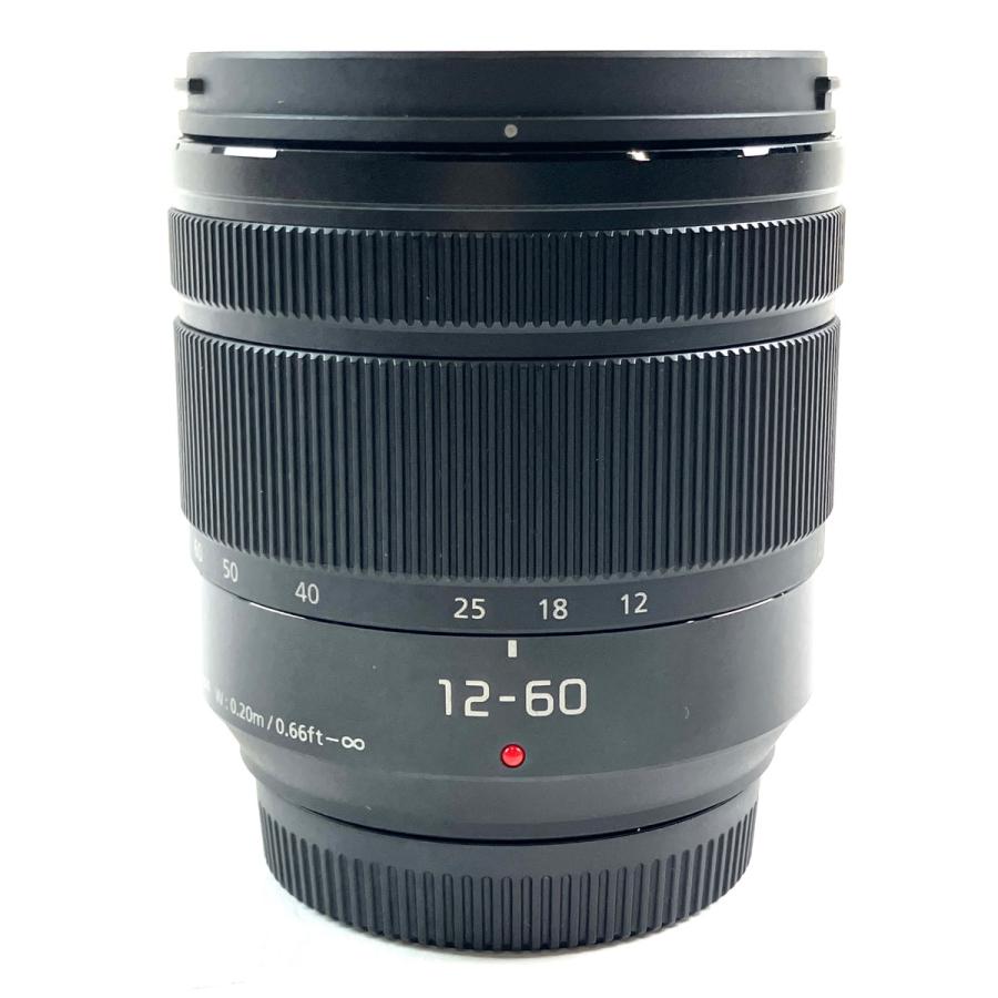 美品 Panasonic LUMIX G VARIO 12-60mm #6584 パナソニック Panasonic LUMIX G VARIO 12-60mm F3.5-5.6 ASPH. POWER
