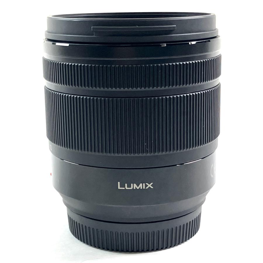 パナソニック Panasonic LUMIX G VARIO 12-60mm F3.5-5.6 ASPH. POWER