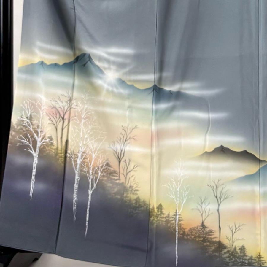 付下げ 身丈162.5cm 裄丈66.5cm 正絹 名品 【中古】 付下げ 身丈162.5cm 裄丈66.5cm 正絹 秀品 【中古】の通販 by バイセル