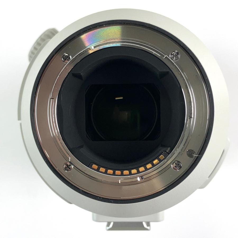 ソニー SONY FE 200-600mm F5.6-6.3 G OSS SEL200600G 一眼カメラ用