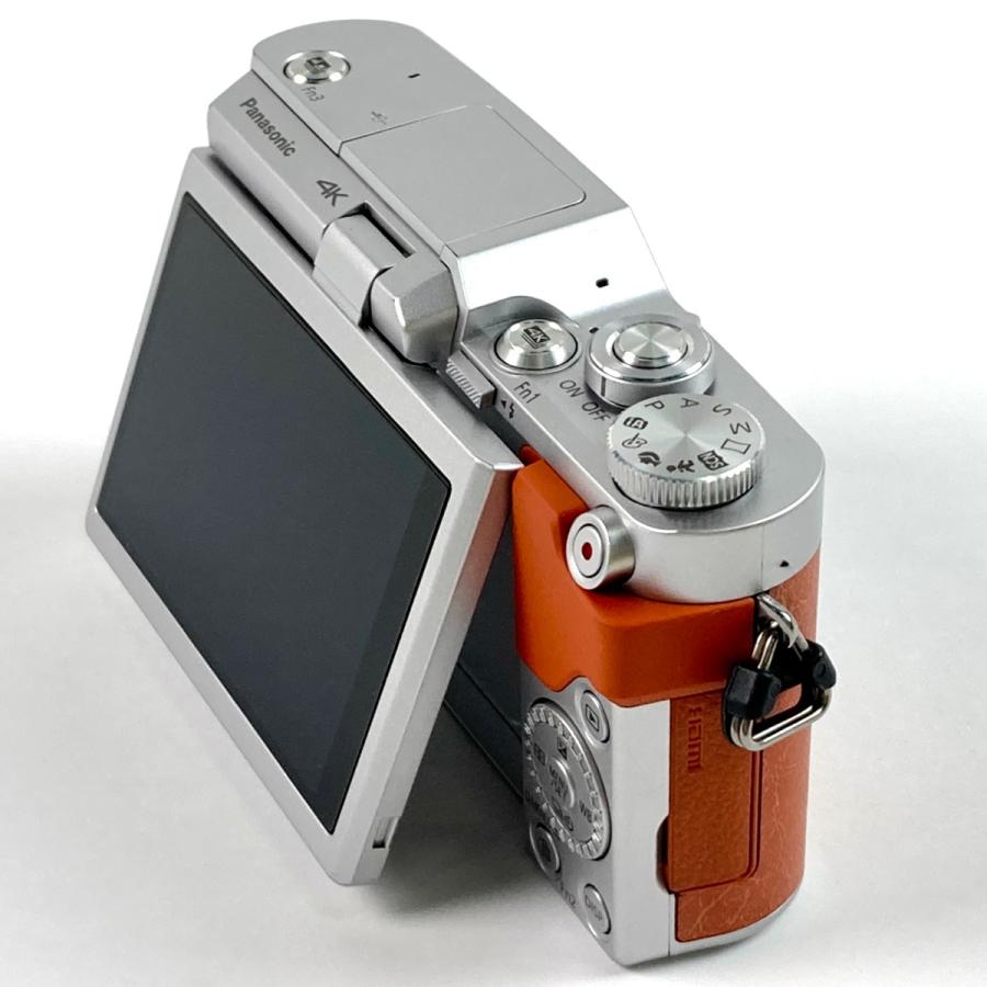 ミラーレス一眼 Panasonic LUMIX GF-9 ブラウン 【公式通販】
