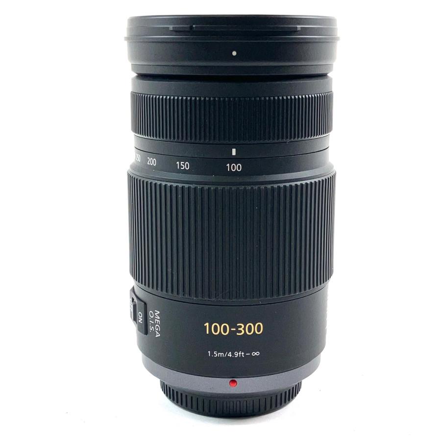パナソニック Panasonic LUMIX G VARIO 100-300mm F4.0-5.6 MEGA