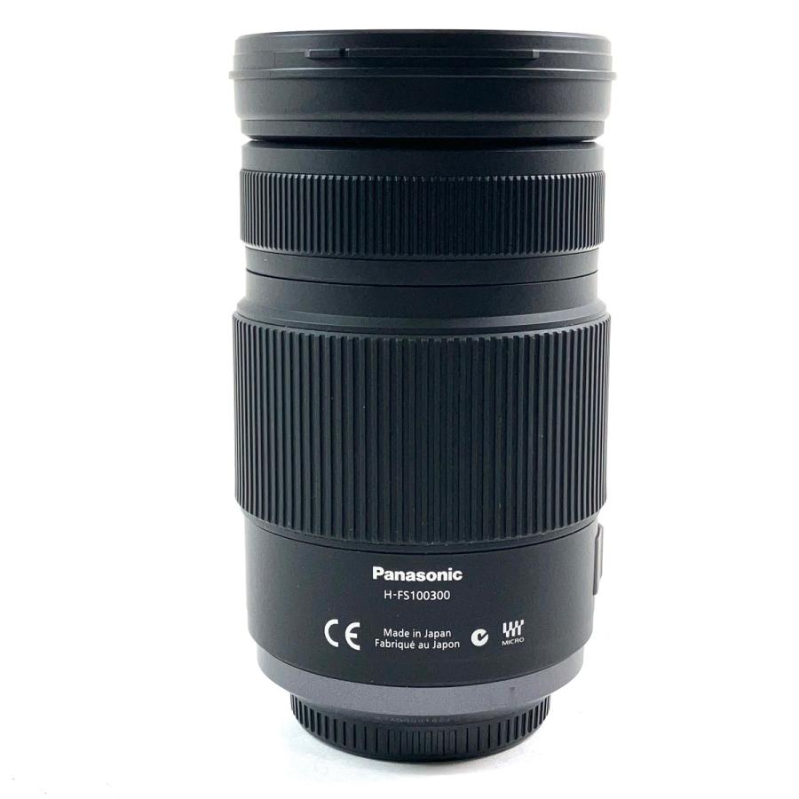 パナソニック Panasonic LUMIX G VARIO 100-300mm F4.0-5.6 MEGA