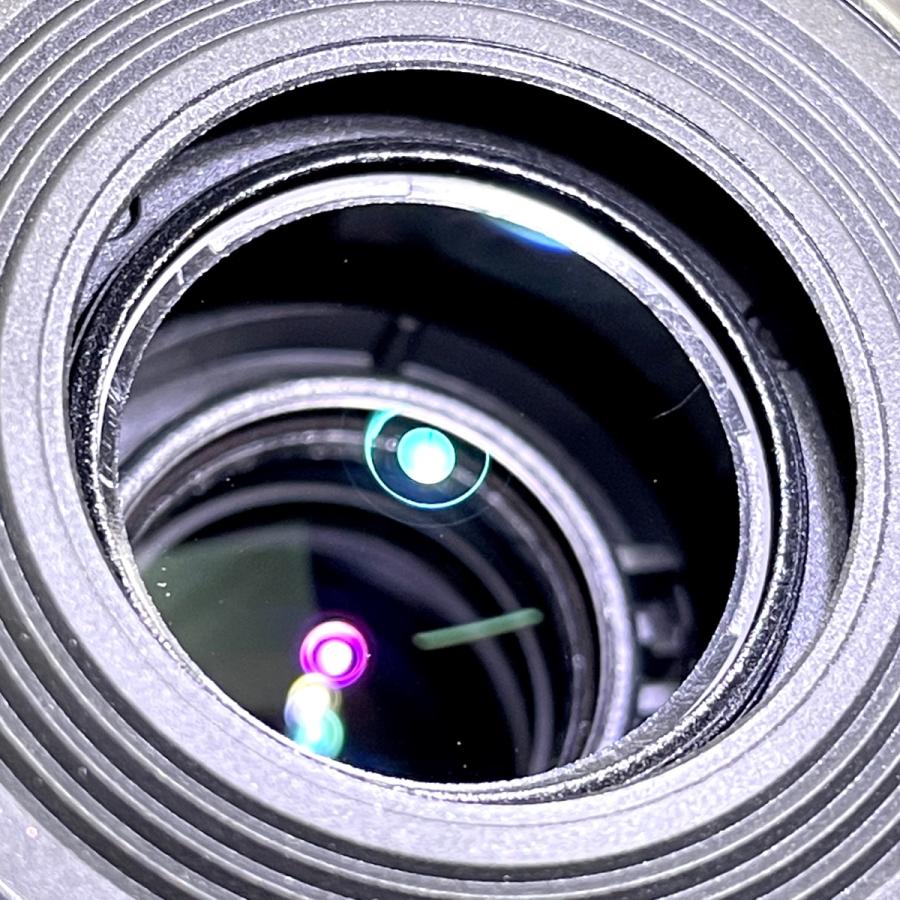 キヤノン Canon EF-S 55-250mm F4-5.6 IS STM 一眼カメラ用レンズ