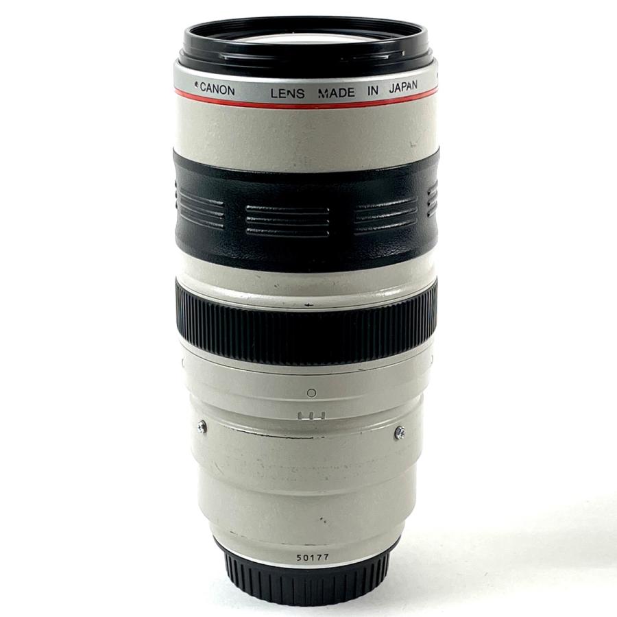 キヤノン Canon EF 35-350mm F3.5-5.6L USM 一眼カメラ用レンズ 