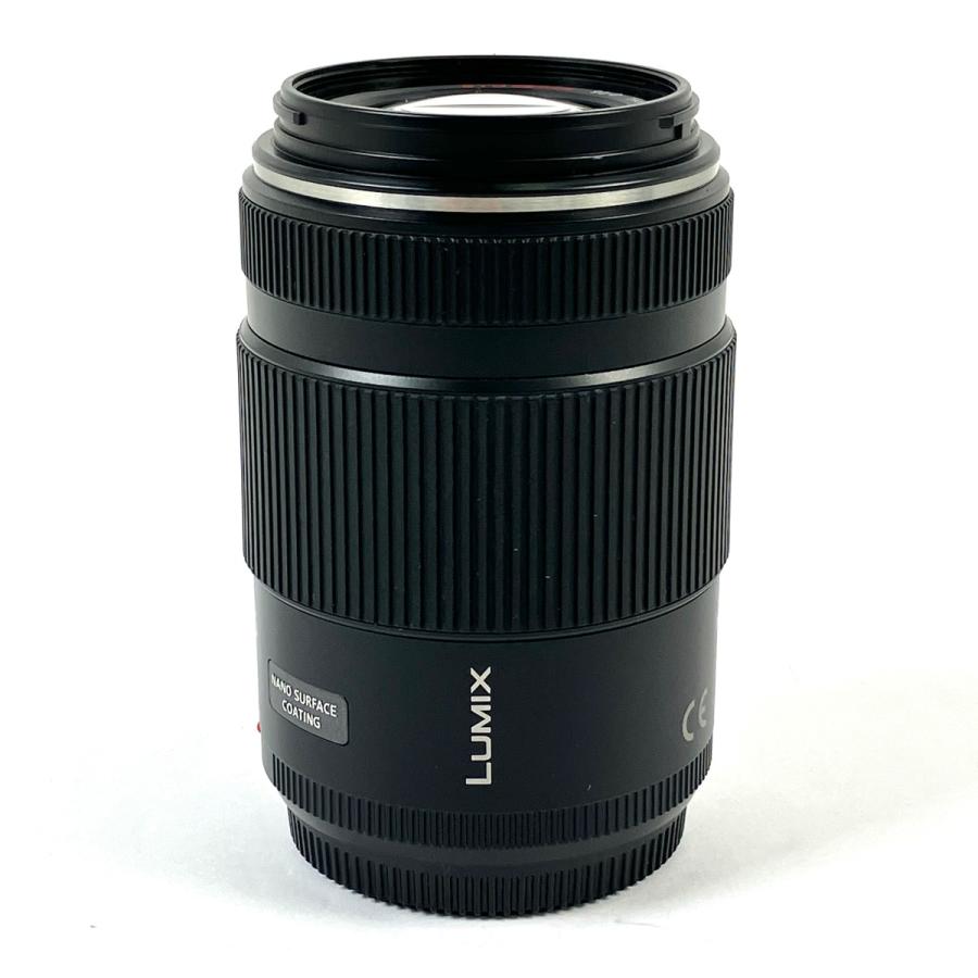 パナソニック Panasonic LUMIX G X VARIO PZ 45-175mm F4.0-5.6 ASPH