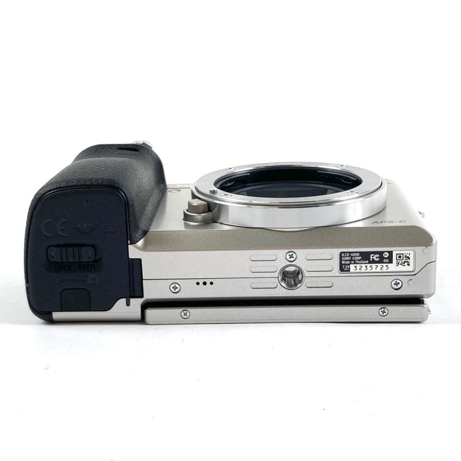 Nikon ニコン Z30 ボディ ブラック ショット数5827回 123 【人気の秘密