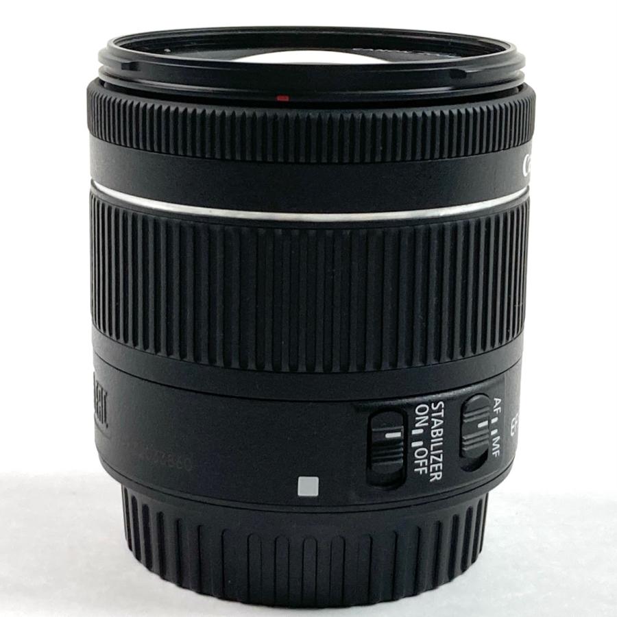 キヤノン Canon EF-S 55-250mm F4-5.6 IS STM 一眼カメラ用レンズ（オートフォーカス） 中古_2
