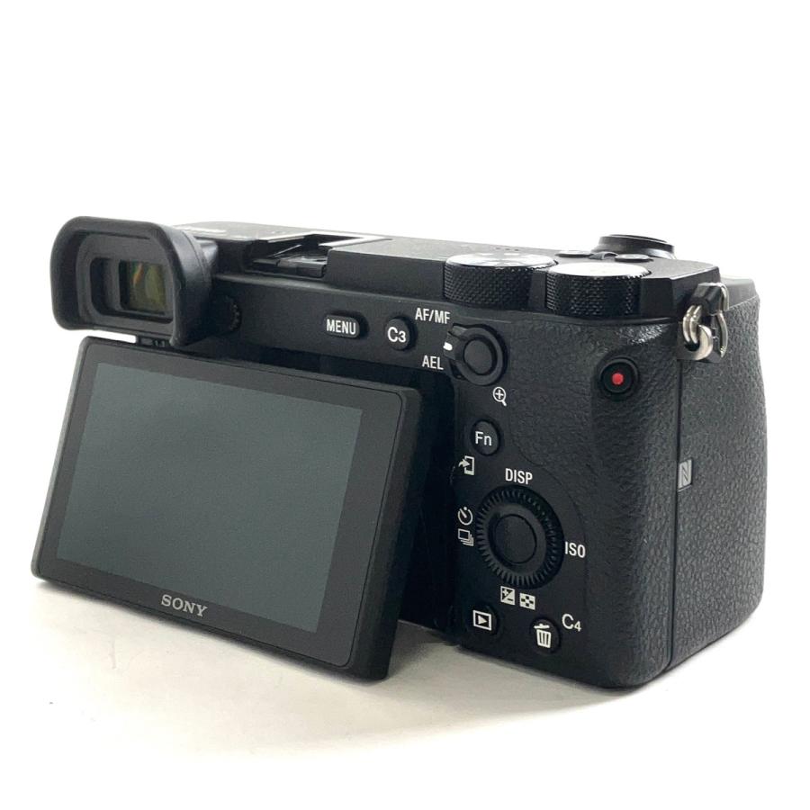 ソニー SONY α6600 ボディ ILCE-6600 デジタル ミラーレス 一眼カメラ