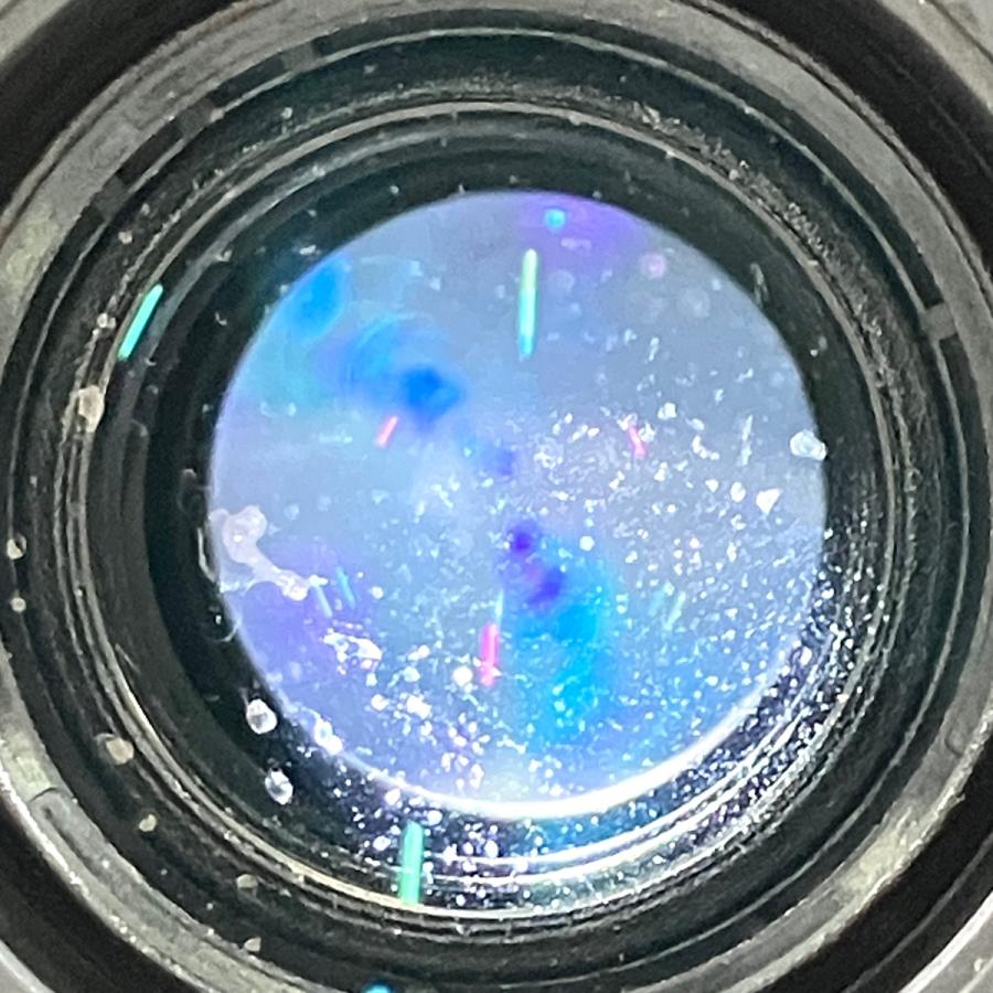 キヤノン Canon EF-S 55-250mm F4-5.6 IS STM 一眼カメラ用レンズ
