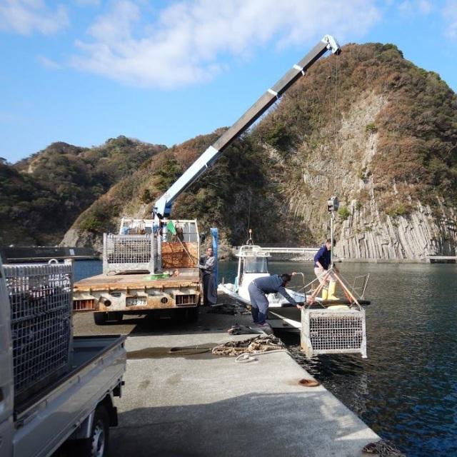 達磨正宗 海中熟成酒 2020-2021年 日本酒 /白木恒助商店／岐阜県 父の日ギフト お酒 おすすめ お中元 お歳暮 |  | 04