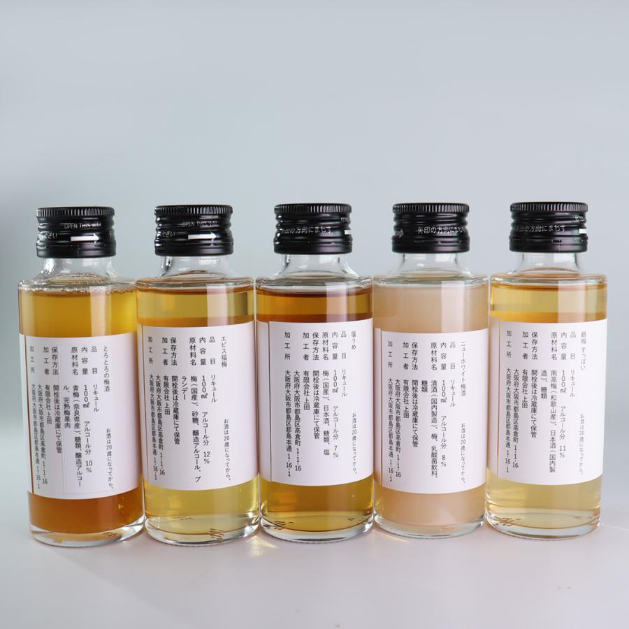 ちょこっと飲み比べ BOX 梅酒セット 100ml×5本 箱入 梅酒飲み比べ