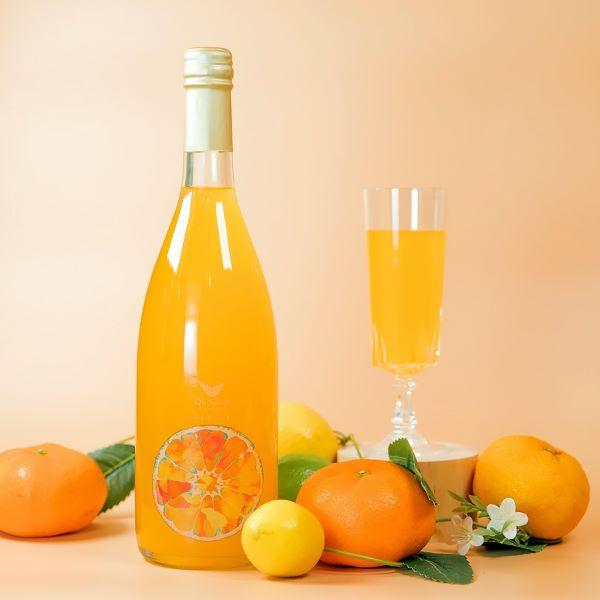 オースプラッシュOh Splash ORANGE スパークリング 発泡 リキュール オレンジ 720ml 果実酒 フルーツ リキュール | 