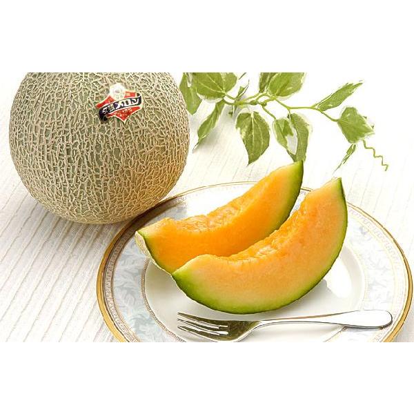 D 316 送料無料 完全新鮮宣言 夕張メロン 共撰品 優 １箱２ ４玉入り Purrworld Com