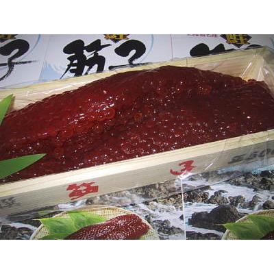 お歳暮 ギフト 熟成 【極】 カネニの塩筋子500g【2025年製造品