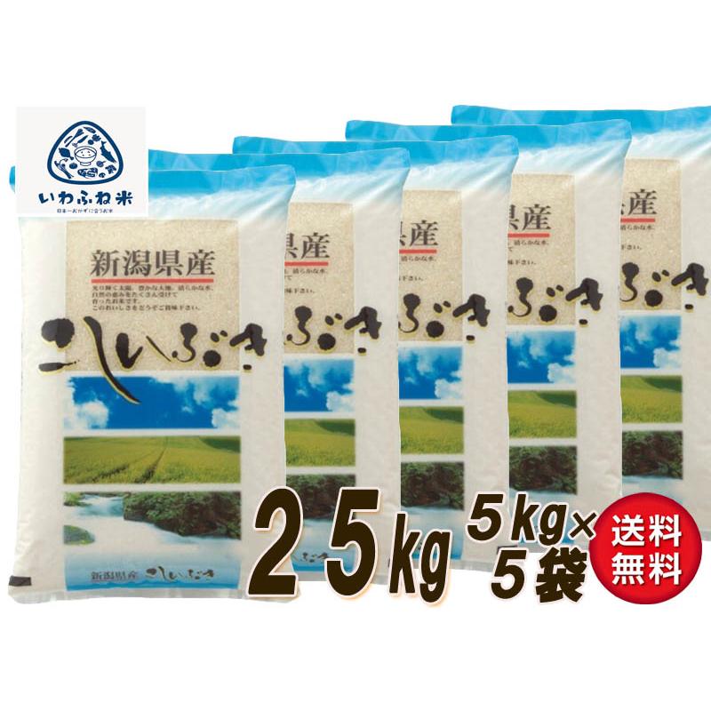 米 送料無料 こしいぶき 産地直送 25kg（5kg×5袋）5年産 新潟 岩船米 精米 白米 新潟限定品種 小分け 新鮮保存 家計にやさしい（一部地域を除き送料無料）｜kaisei｜02