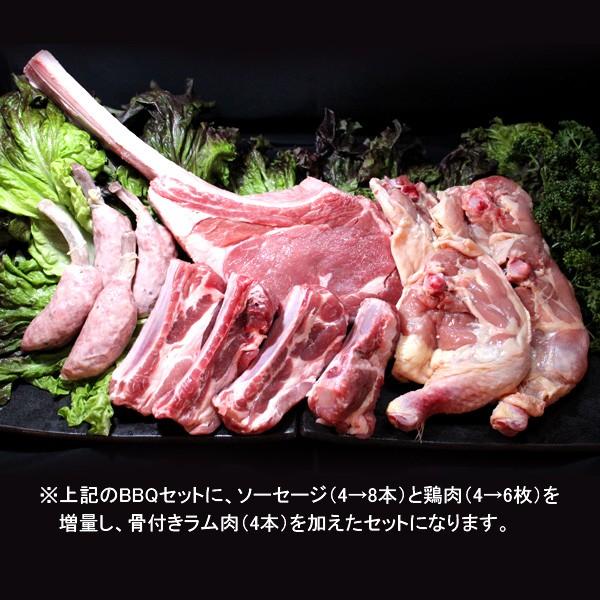 BBQ バーベキュー 焼肉 骨付き肉 5種スペシャルセット 3.5kg 送料無料｜kaisen-kairi｜02