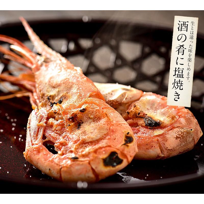 甘エビ 甘えび 子なし 小サイズ 500g（約40〜50尾入り）刺身用 越前産 甘えび 海老 えび エビ 贈り物 お祝い  プレゼント ギフト 母の日 ギフト 父の日｜kaisenichibashioso｜11