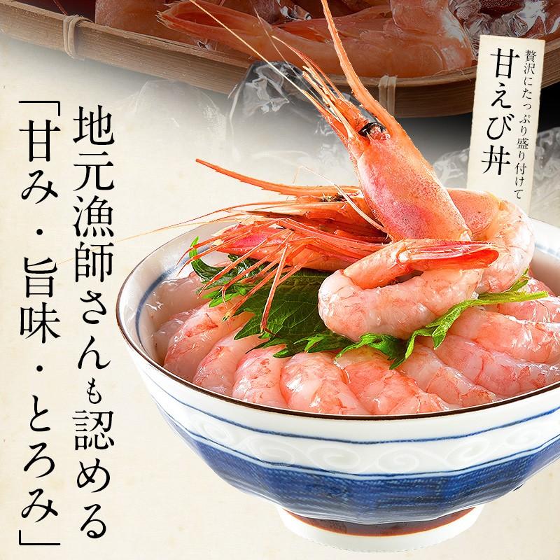 甘エビ 甘えび 子なし 小サイズ 500g（約40〜50尾入り）刺身用 越前産 甘えび 海老 えび エビ 贈り物 お祝い  プレゼント ギフト 母の日 ギフト 父の日｜kaisenichibashioso｜07